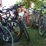 Apartmens Marta Novigrad - bike tours